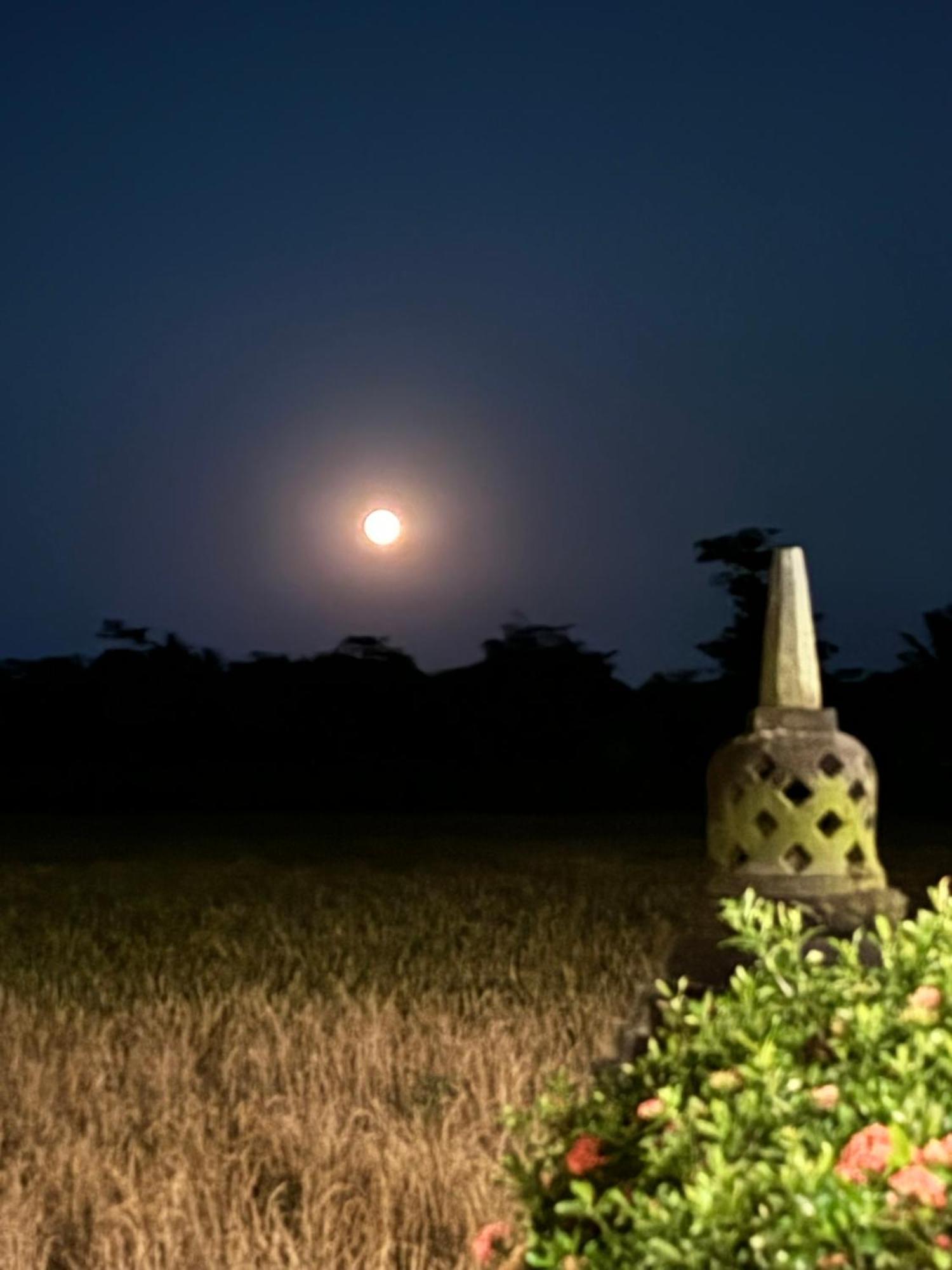 Rumah Dharma 마겔랑 외부 사진